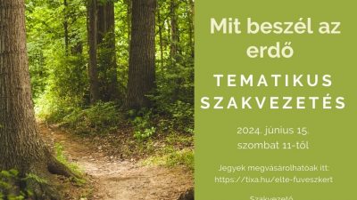 Mit beszél az erdő – Mit mond a modern erdőökológia a fák kommunikációjáról