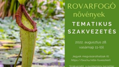 Rovarfogó növények - tematikus szakvezetés