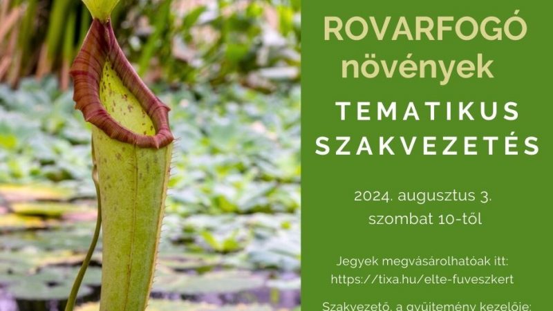 Rovarfogó növények- tematikus szakvezetés