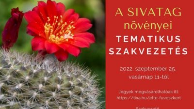 A sivatag növényei - tematikus szakvezetés 2022. szeptember 25.